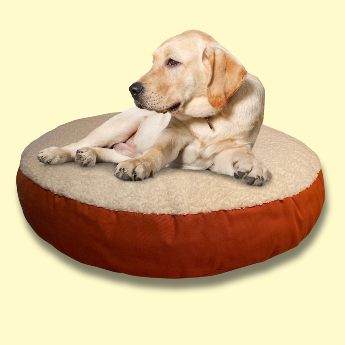 Hundebett - optimale Regeneration für Deinen Liebling