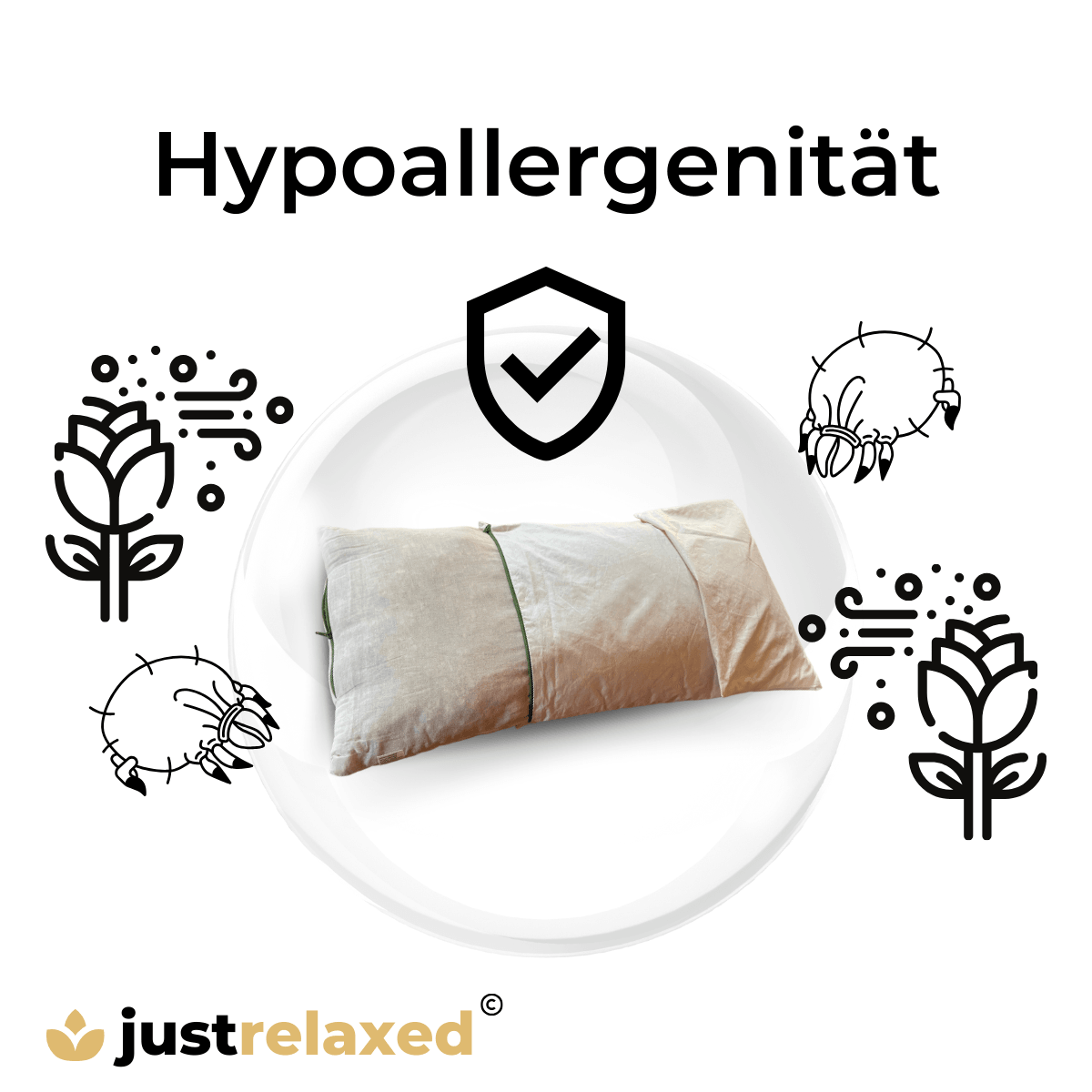 kleines Dinkel-Schafschurwoll-Kissen | wärmeregulierend & hypoallergen